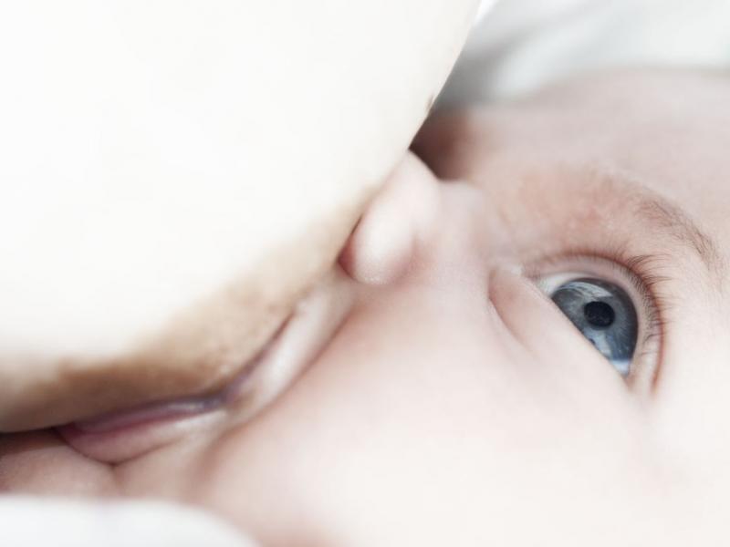 Accompagner le démarrage de l’allaitement (Niveau 1)-E-learning