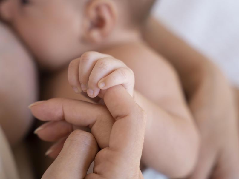 FOCUS : Physiologie de la lactation-E-learning