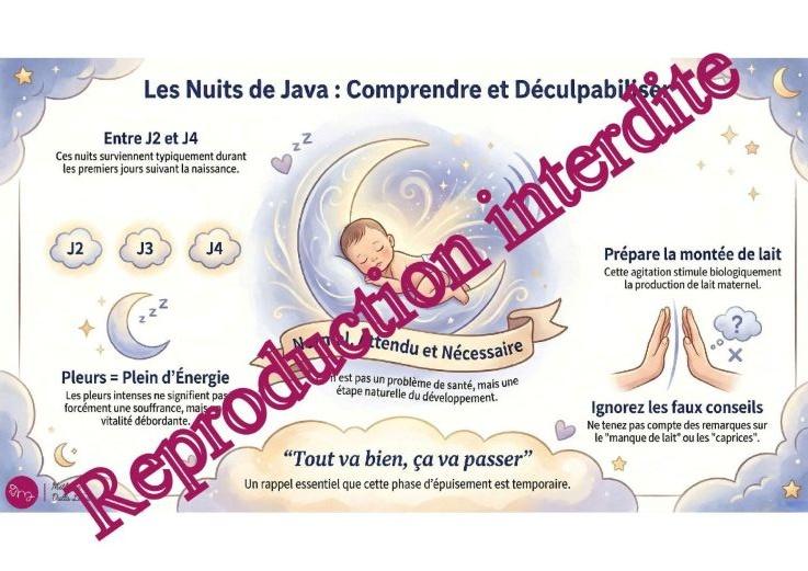 Recueil illustré paysage « Comprendre, accompagner, rassurer »